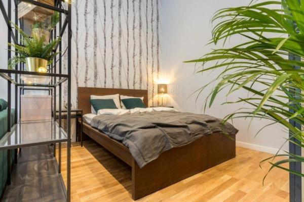 Aurora Apartments - Old Town Краків Екстер'єр фото